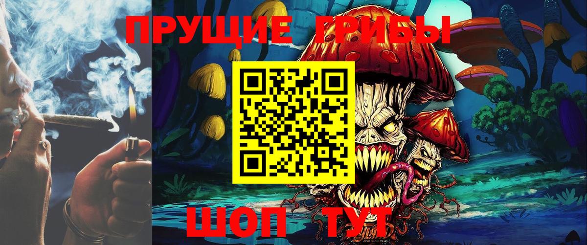 Псилоцибиновые грибы Psilocybine cubensis Жуковский